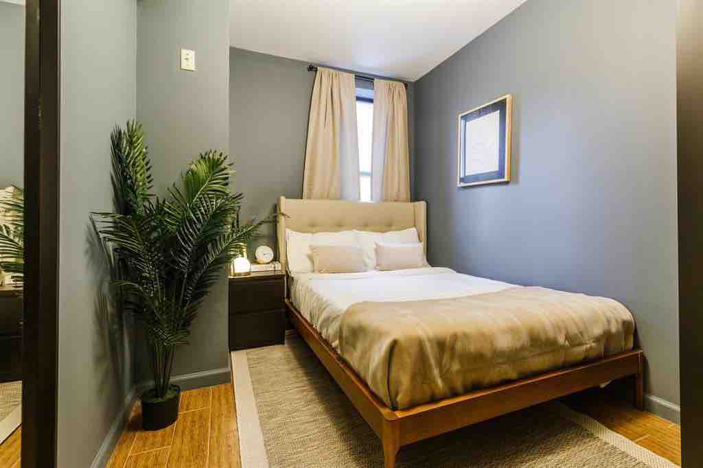 One bedroom apartment for rent. RoomsLocal image