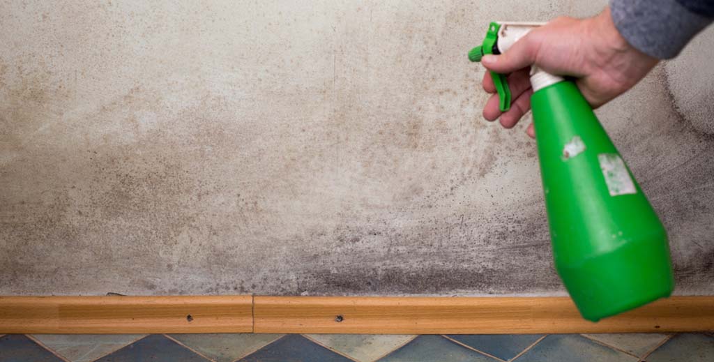 Tenants’ bad habits must be challenged if mould appears, says leading landlord - https://roomslocal.co.uk/blog/tenants-bad-habits-must-be-challenged-if-mould-appears-says-leading-landlord #habits #must #challenged #mould #appears