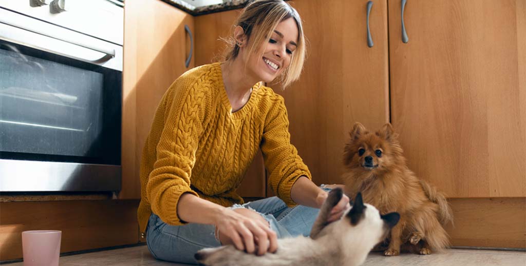 Landlord suggests novel way to deal with pets – but it is legal? - https://roomslocal.co.uk/blog/landlord-suggests-novel-way-to-deal-with-pets-but-it-is-legal #suggests #novel #deal #with #pets
