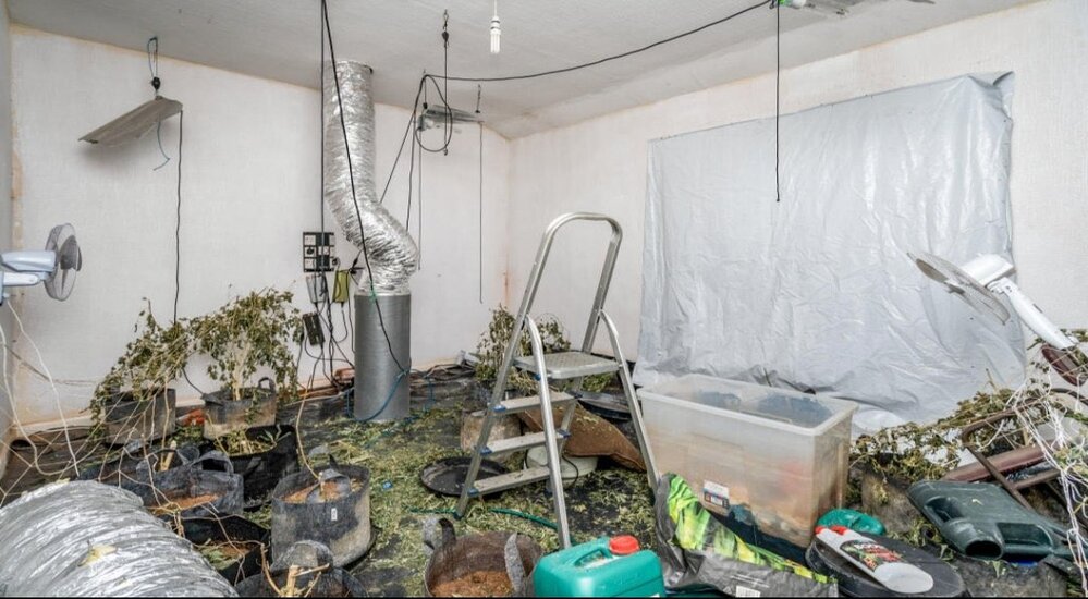 Rental property full of THC badly needs some TLC - https://roomslocal.co.uk/blog/rental-property-full-of-thc-badly-needs-some-tlc #property #full #badly #needs #some